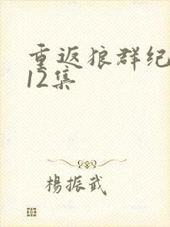 重返狼群纪录片12集封面