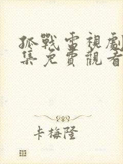 孤战电视剧40集免费观看高清版