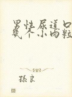 男性尿道口长了几个小肉粒封面