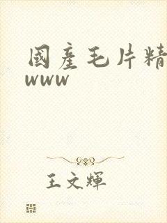 国产毛片精品wwww