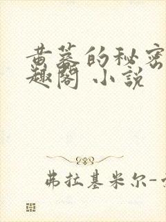 黄蓉的秘密 笔趣阁 小说封面