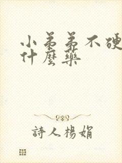 小弟弟不硬该吃什么药