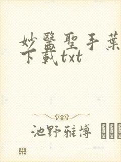 妙医圣手叶皓轩下载txt