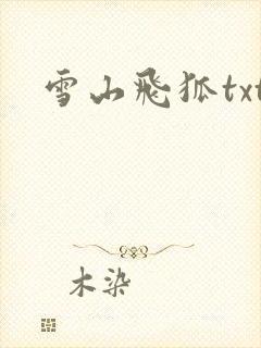 雪山飞狐txt封面