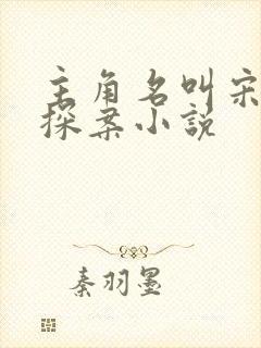 主角名叫宋阳的探案小说