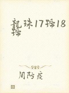 龙珠17号18号