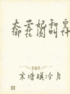 太子妃和皇帝在御花园叫什么小说封面