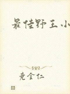 最佳野王小说封面