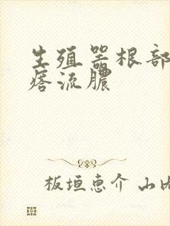 生殖器根部长疙瘩流脓