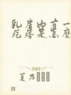 乳房内有一个硬疙瘩是怎么回事