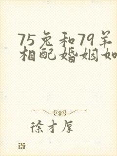 75兔和79羊相配婚姻如何