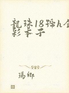 龙珠18号h全彩本子