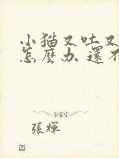 小猫又吐又拉稀怎么办 还不吃东西封面