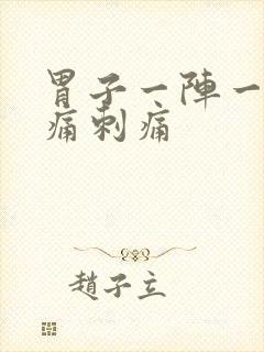 胃子一阵一阵绞痛刺痛封面