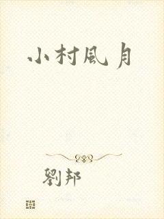 小村风月封面