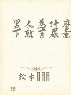 男人为什么一躺下就有尿意