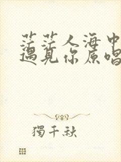 茫茫人海中让我遇见你原唱完整版