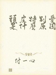 头皮特别爱出油是什么原因