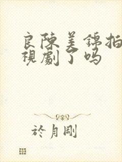 良陈美锦拍成电视剧了吗封面