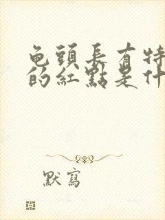 龟头长有特别小的红点是什么封面