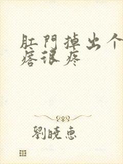 肛门掉出个硬疙瘩很疼