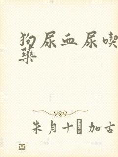 狗尿血尿吃什么药