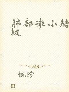 肺部微小结节2级封面