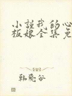 小说我的心动老板娘全集免费封面