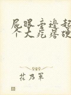 屁眼旁边起了一个大疙瘩硬硬的很疼封面