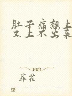 肚子痛想上大便又上不出来什么原因