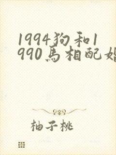 1994狗和1990马相配婚姻如何封面