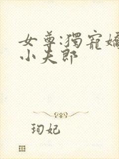 女尊:独宠娇软小夫郎