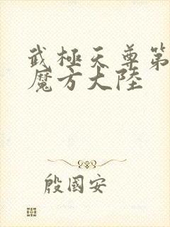 武极天尊第三部魔方大陆封面