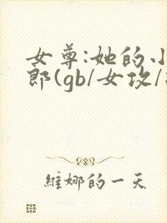 女尊:她的小夫郎(gb/女攻/扶她)
