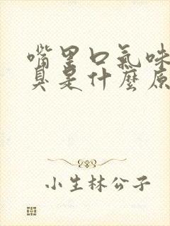 嘴里口气味道很臭是什么原因