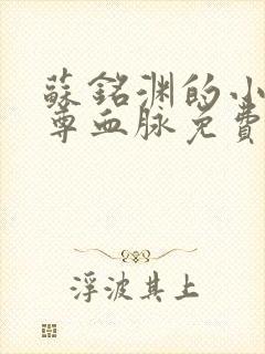 苏铭渊的小说至尊血脉免费阅读