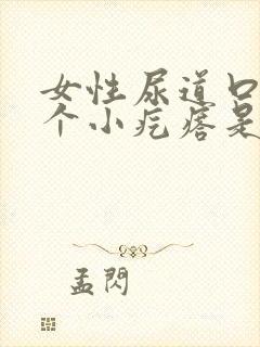 女性尿道口长了个小疙瘩是怎么回事