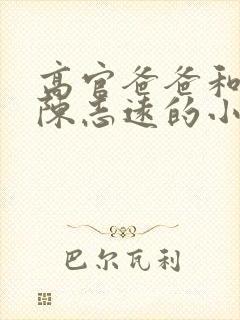 高官爸爸和儿媳陈志远的小说封面