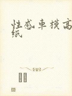 性感车模高清壁纸