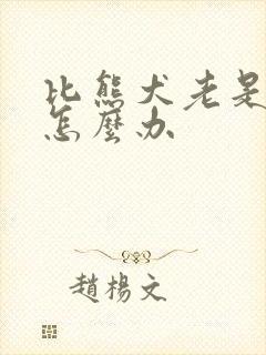 比熊犬老是呕吐怎么办