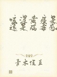 咳浓黄痰是细菌还是病毒感染封面