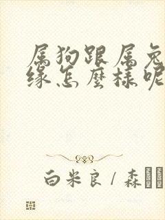 属狗跟属兔的姻缘怎么样呢