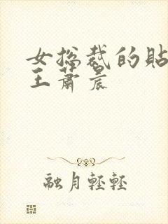 女总裁的贴身兵王萧晨