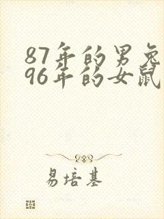 87年的男兔和96年的女鼠合不合婚封面