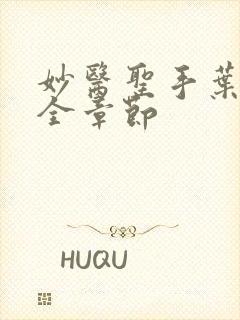 妙医圣手叶皓轩全章节