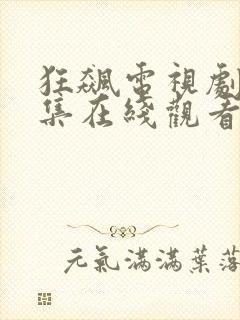 狂飙电视剧40集在线观看免费狂飙龙腾