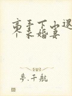 高手下山退婚9个未婚妻