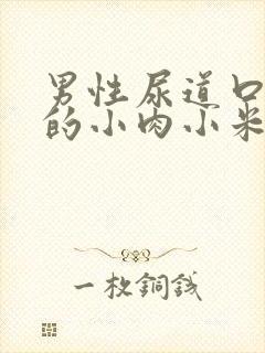 男性尿道口长了的小肉小米粒