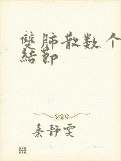 双肺散数个微小结节