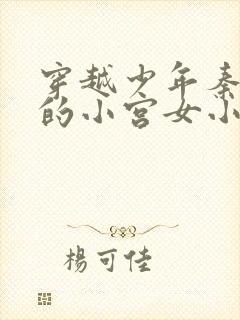 穿越少年秦始皇的小宫女小说封面